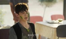 白张cp圈内人爆料小说,圈内人揭秘小说背后的真实故事